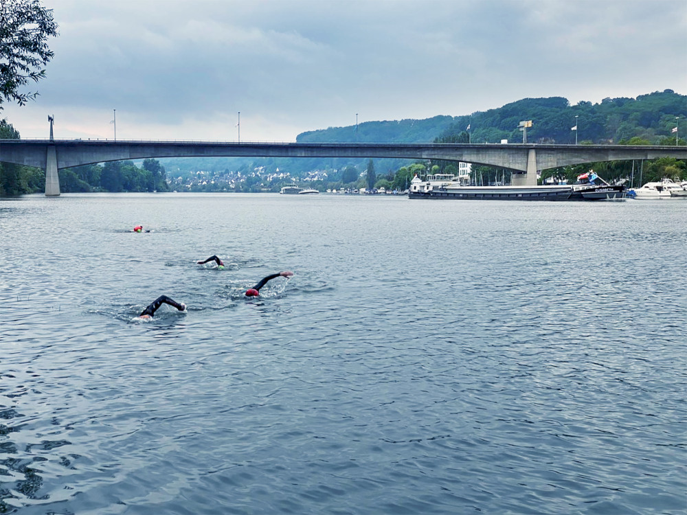 Schwimmen in der Mosel bei Koblenz Moselweiss bis Metternich
