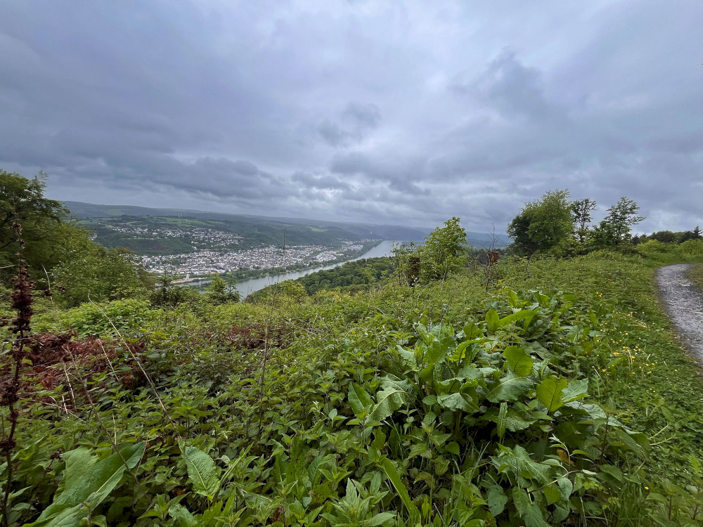 Natural Sportshub Koblenz