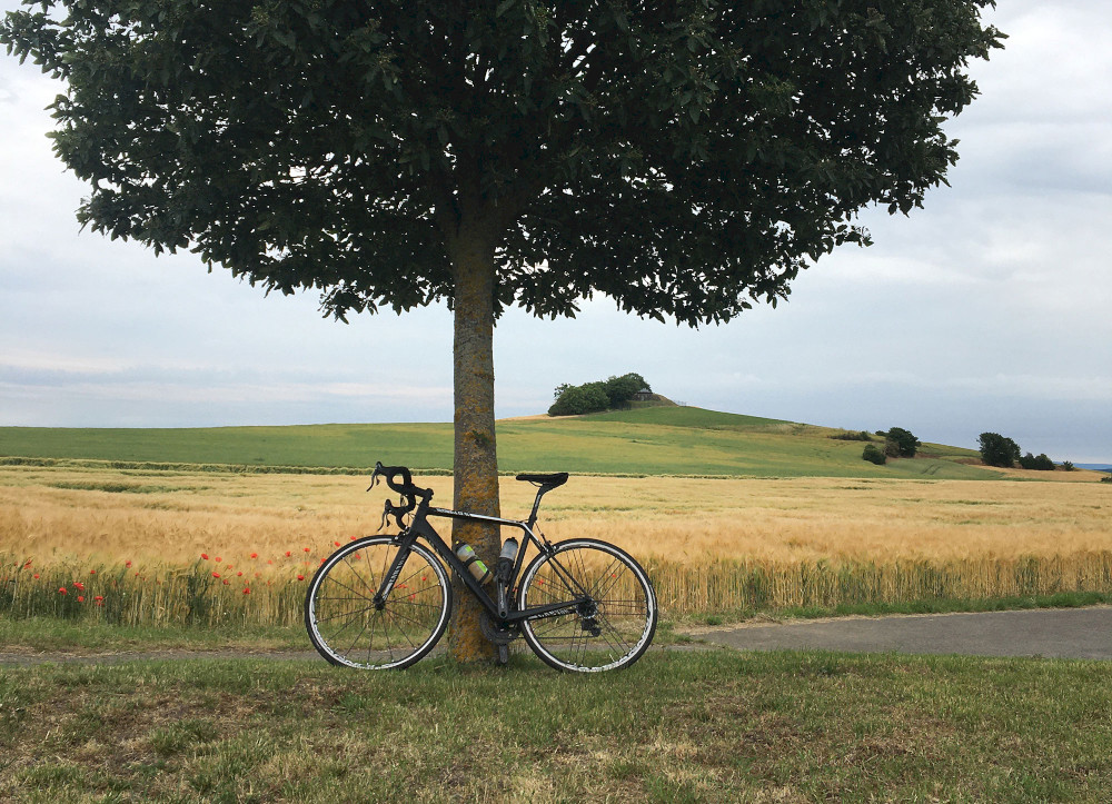 Natural Sportshub Koblenz