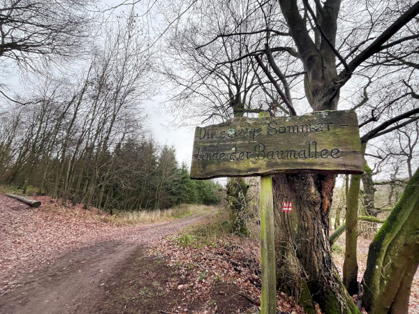 Baumalle Boost - Der Weg zum Karmelenberg