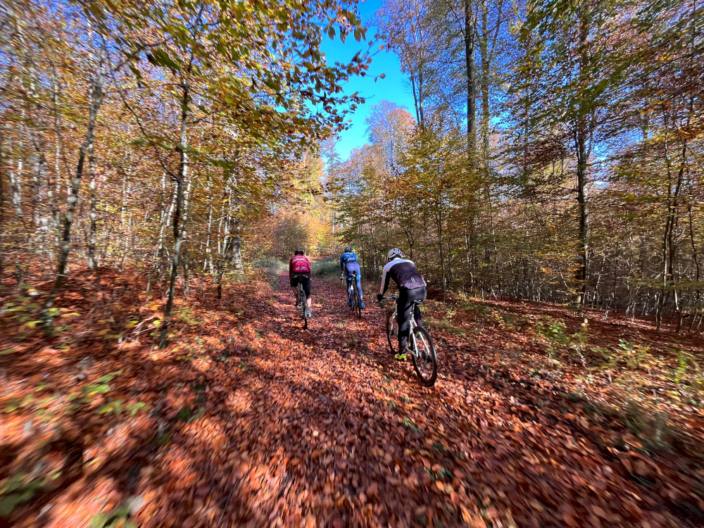 Natural Sportshub Koblenz