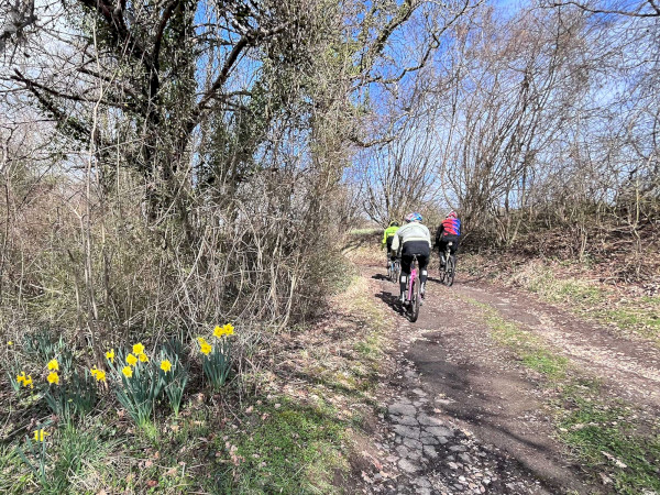 Natural Sportshub Koblenz