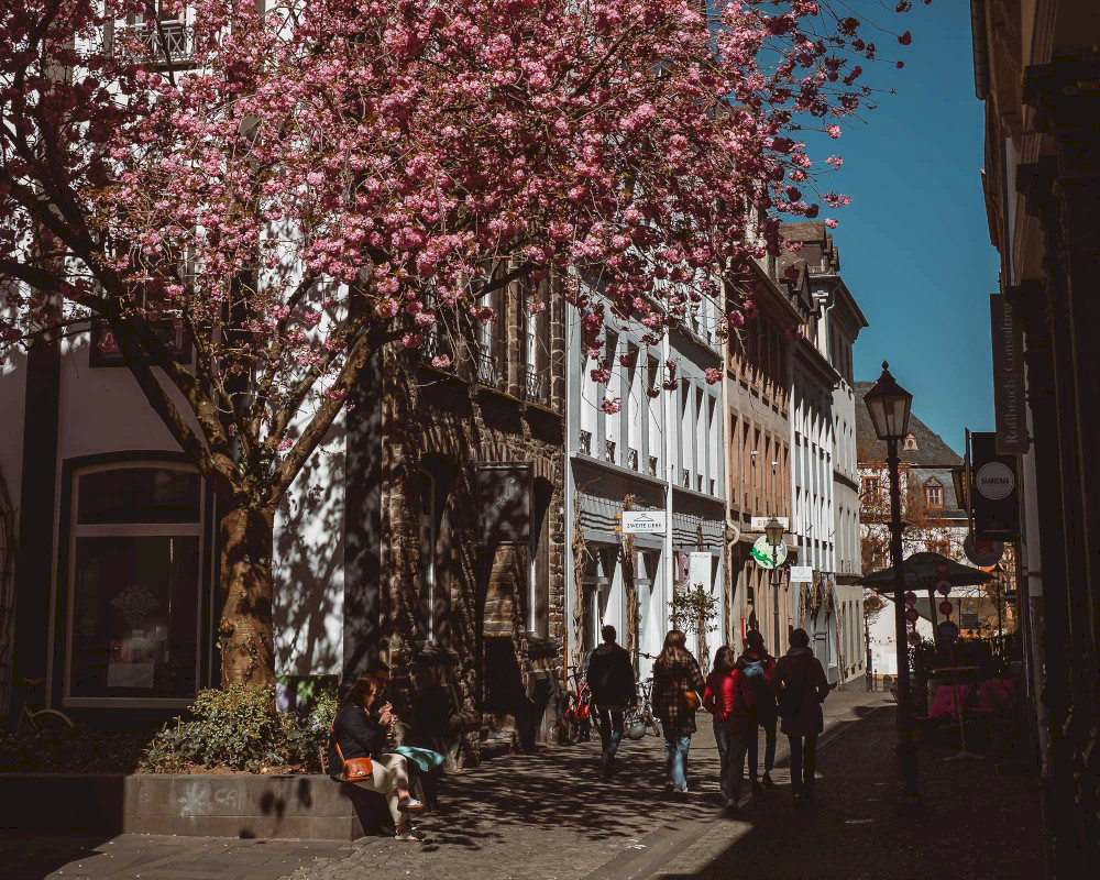 Natural Sportshub Koblenz